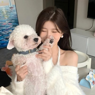 治愈队西游记