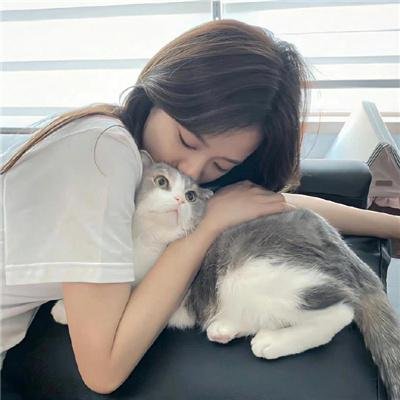预审